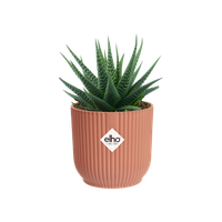 vibes fold round mini 11cm delicate pink